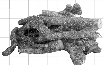 Reference photo for the Fall 2024 Bur Oak Project. Image is a black and white photo of a pile of cut branches from an oak tree. The image has a white background with a grid overlapping.